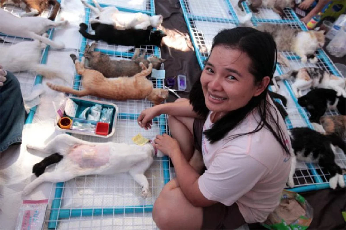 ฮิปสเตอร์ โปรดทราบ!!! แมว(จรจัด)อยู่ทางนี้?