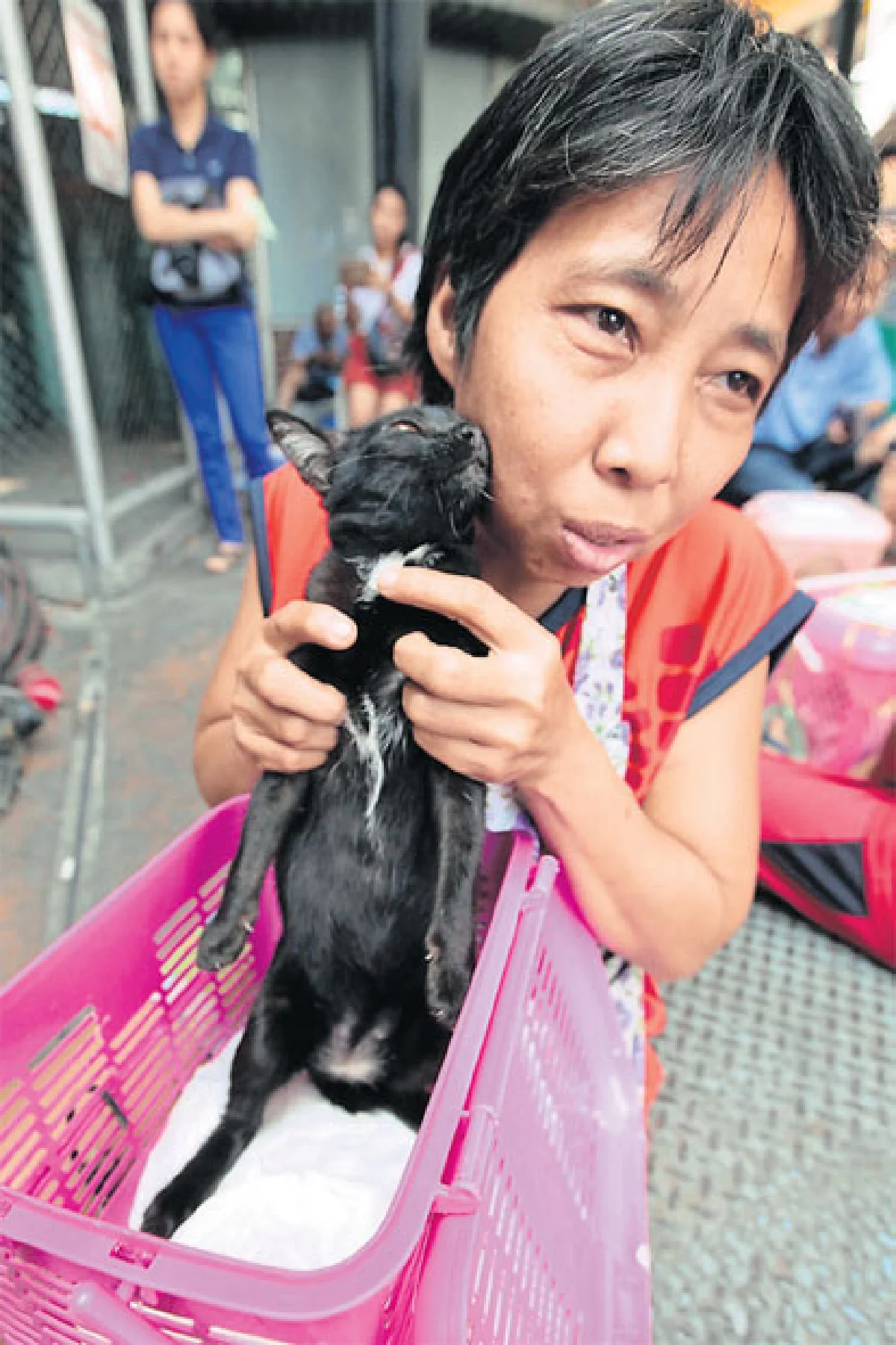 ฮิปสเตอร์ โปรดทราบ!!! แมว(จรจัด)อยู่ทางนี้?