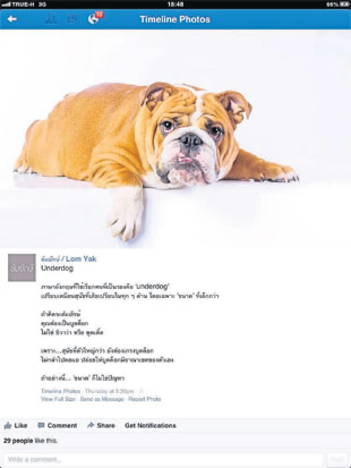 ล้มยักษ์