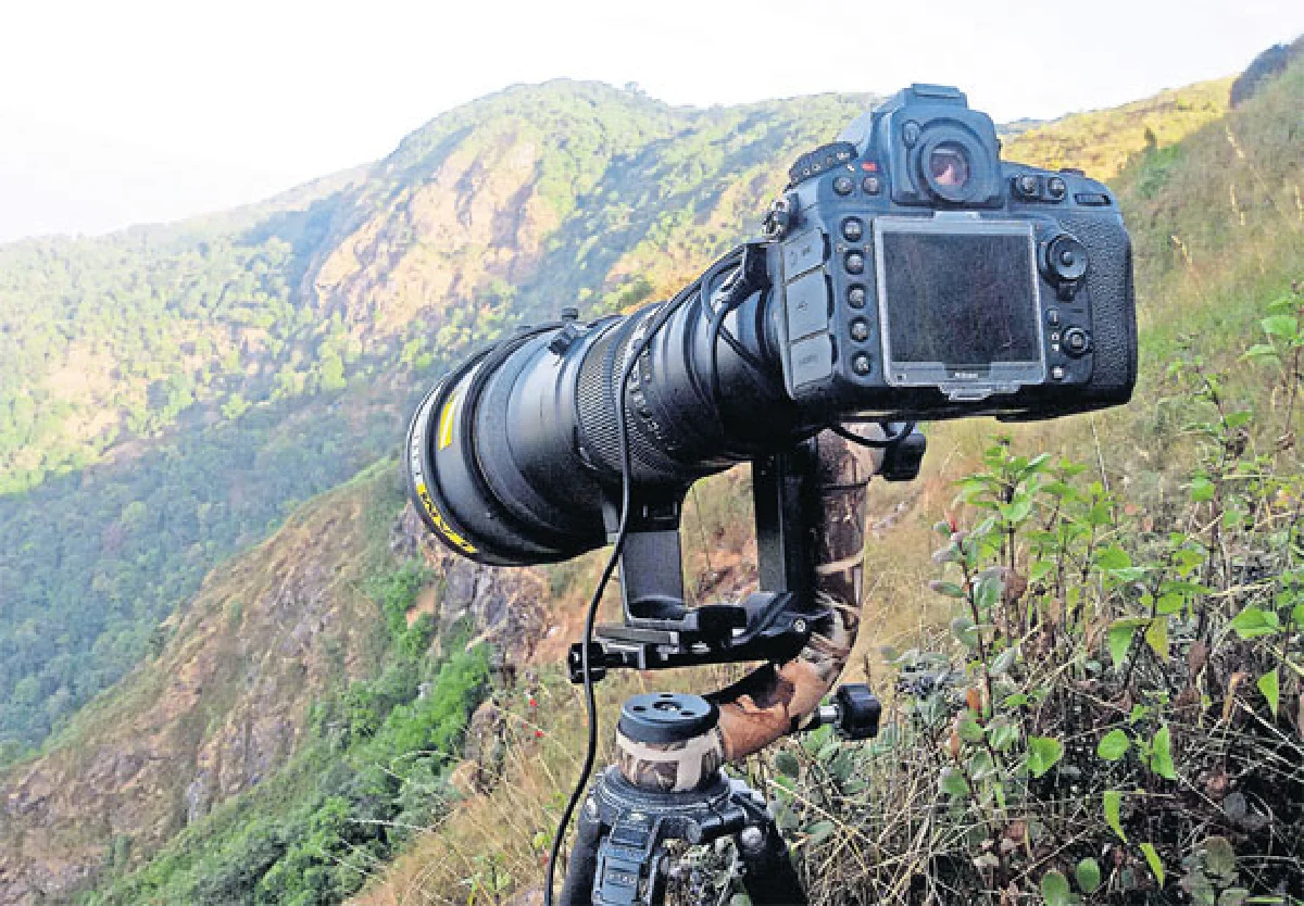 ทดสอบ Nikon D810 ตอน1.สอยกวางผาชนิดเม็ด