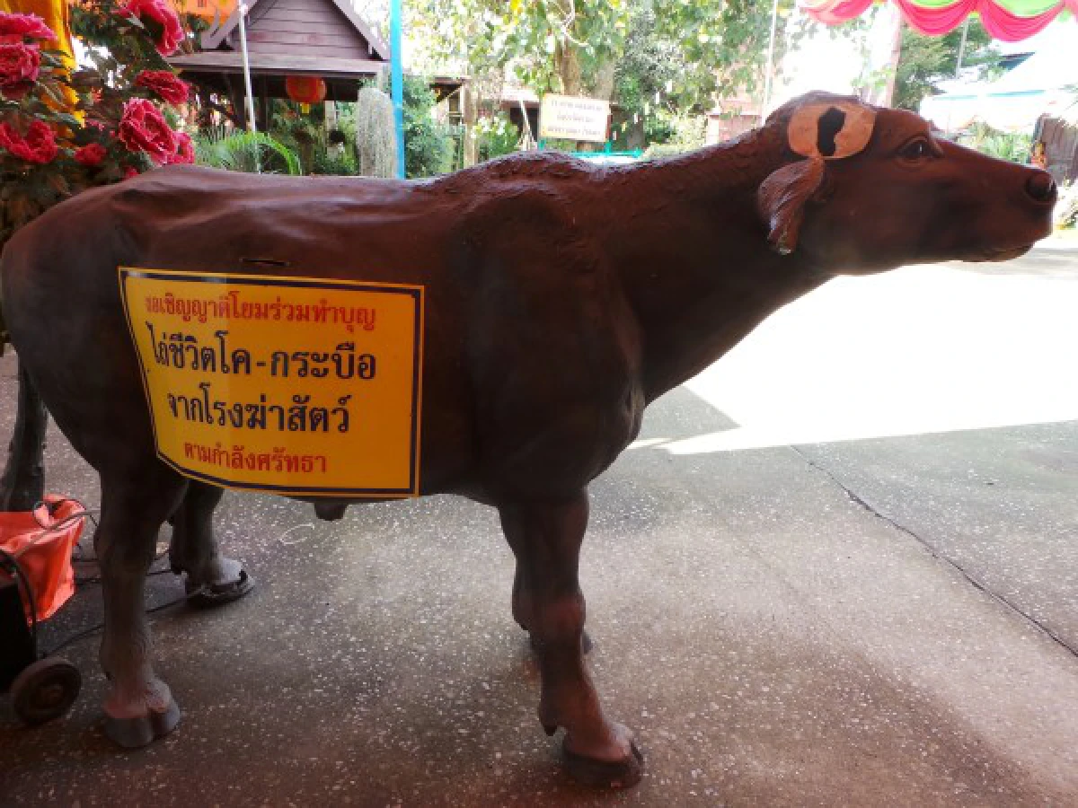 "ทัวร์พุทธพาณิชย์" ที่อยุธยา
