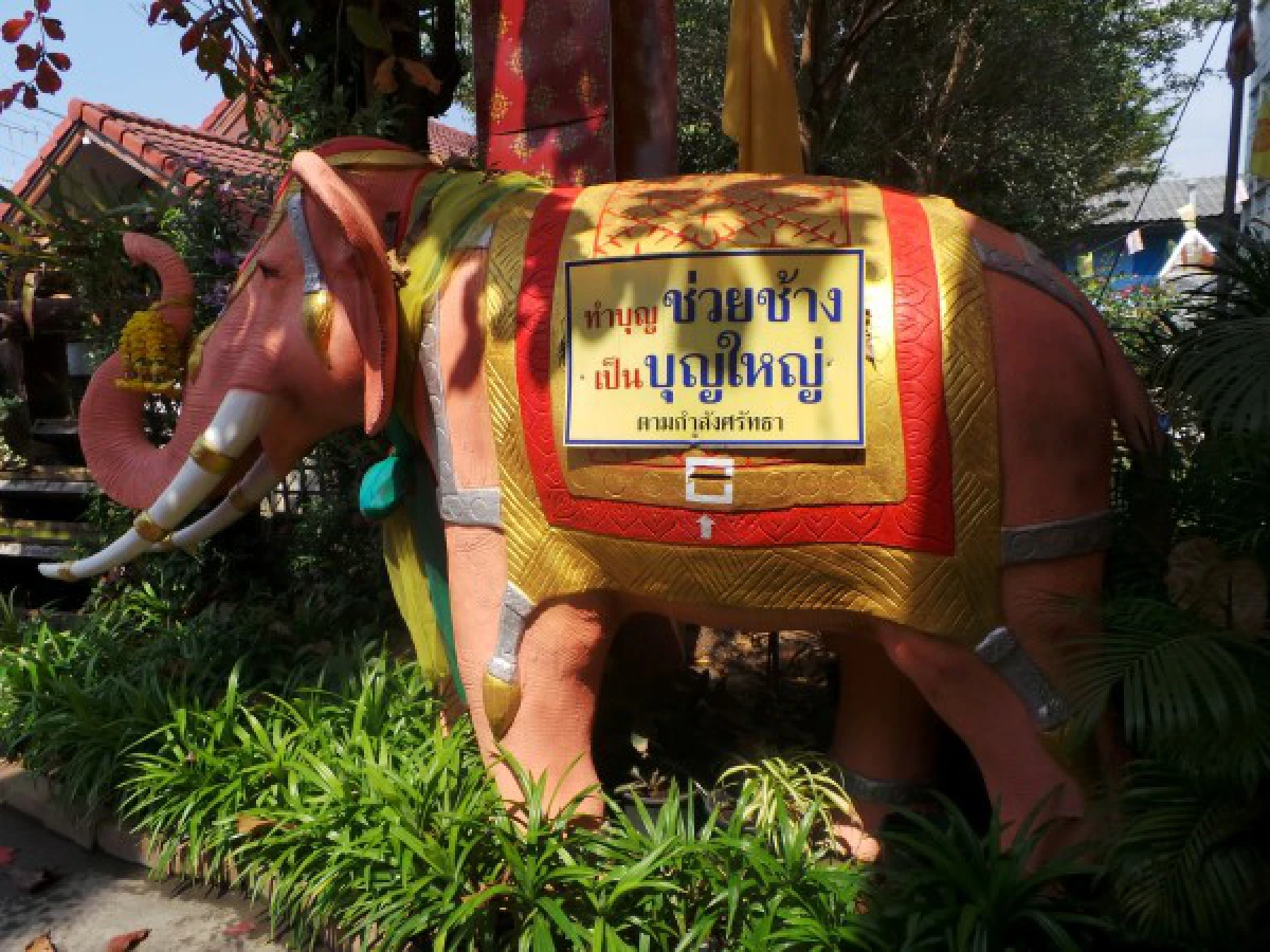 "ทัวร์พุทธพาณิชย์" ที่อยุธยา