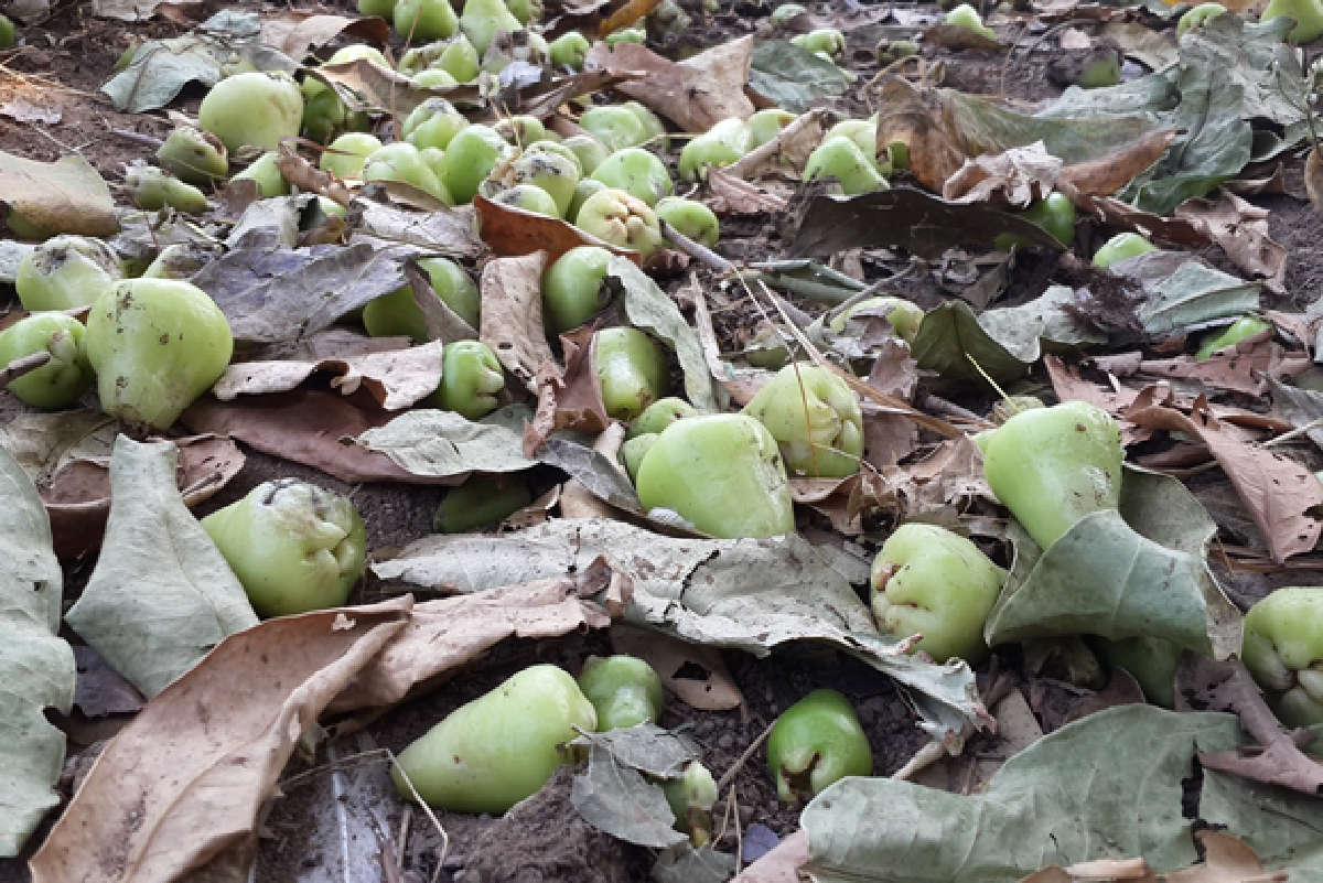 ชีวิตรอบเหมืองกลางห่าฝน ท่วมท้นหยาดน้ำตา