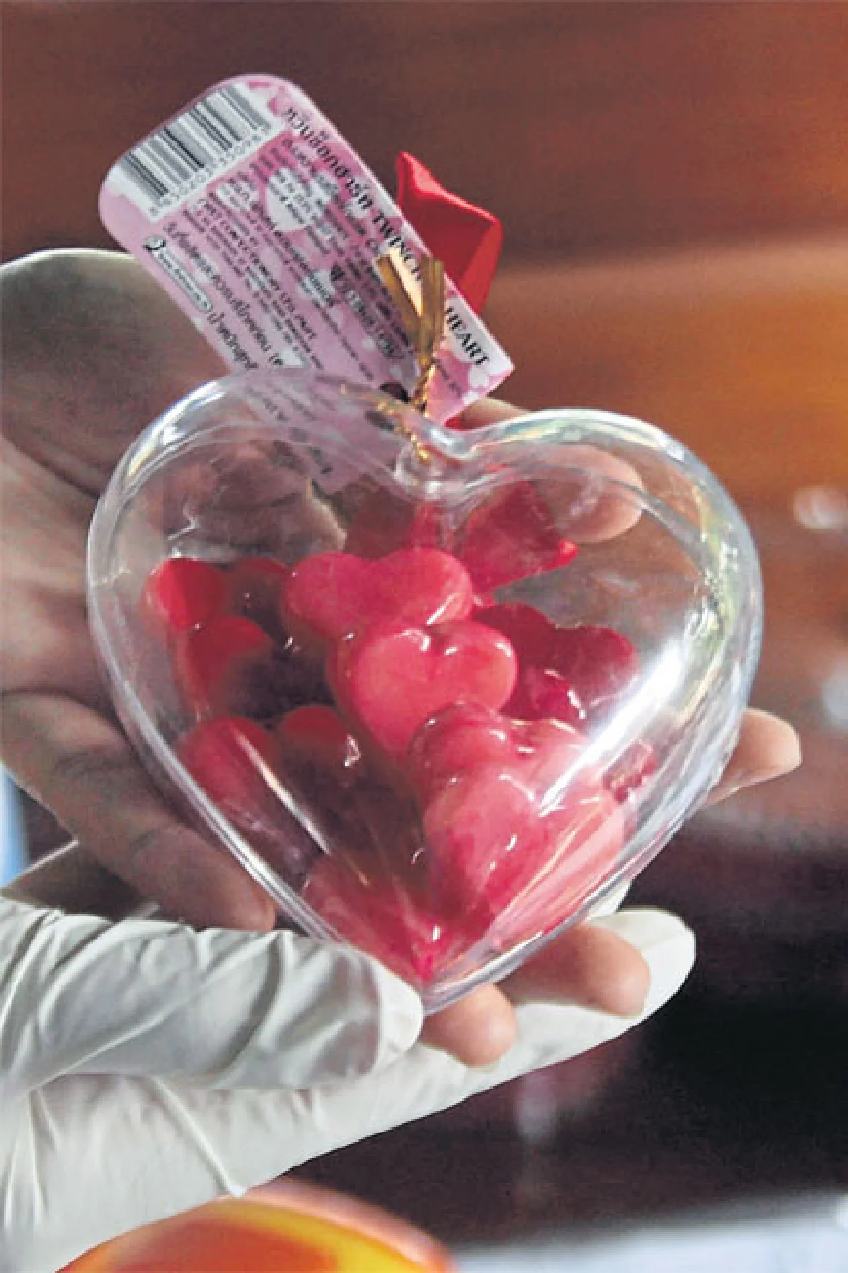 ลูกชุบ...บอกรักวันวาเลนไทน์