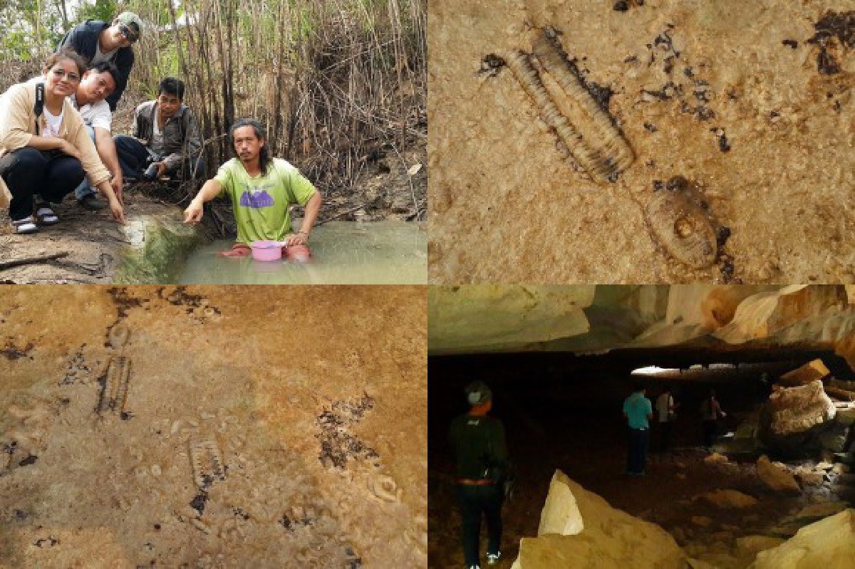 พบซากฟอสซิลอายุกว่า360ล้านปี พบซากฟอสซิลอายุกว่า360ล้านปี