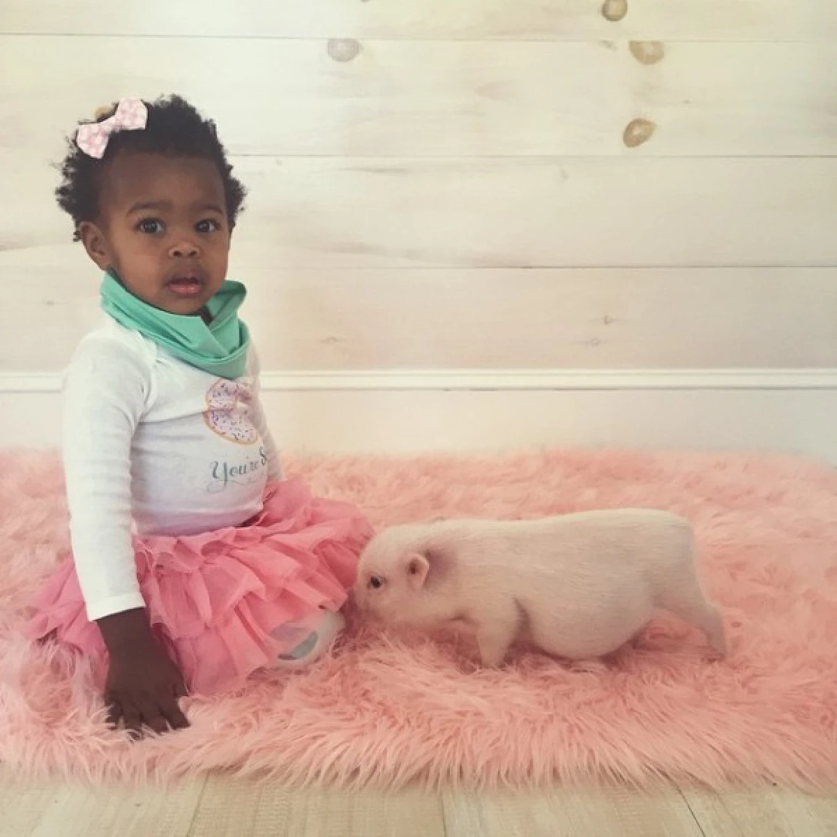 เผยภาพความสัมพันธ์น่ารักน่าหยิก ของเด็กสาวและลูกหมู!