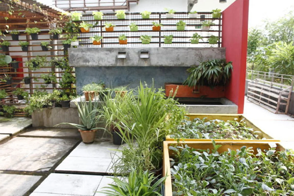 ‘สวนดาดฟ้า’ สร้างมุมผ่อนคลาย แสนสุขบนที่สูง