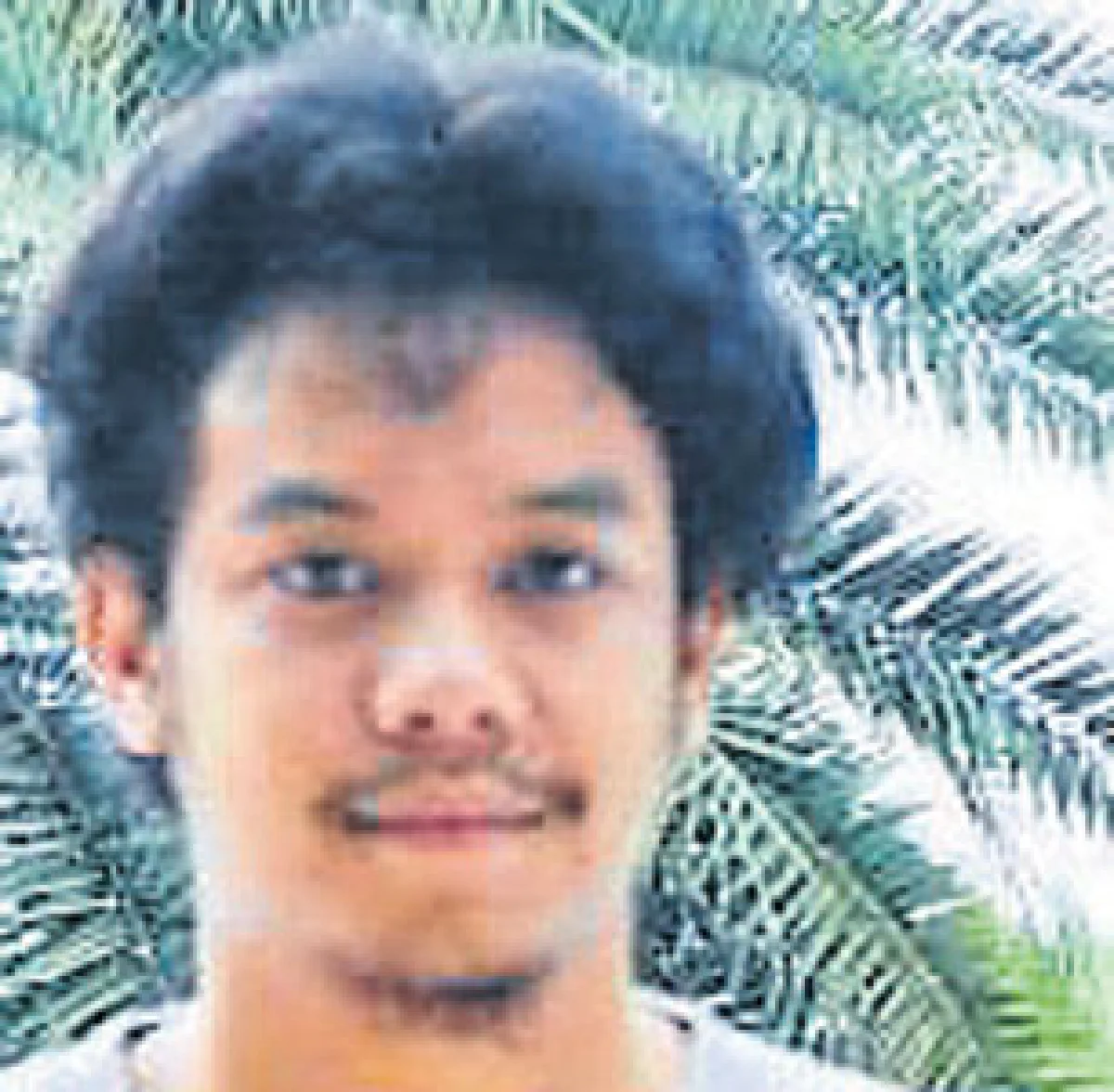 คิดอย่างไรกับ พระที่ยืนบิณฑบาตแทนการเดิน?