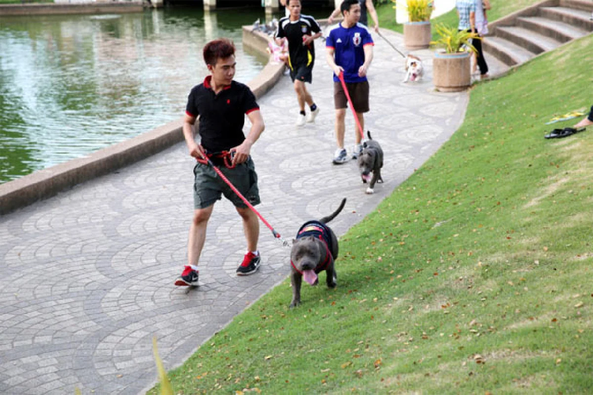 โตมากับบึงพลาญชัย