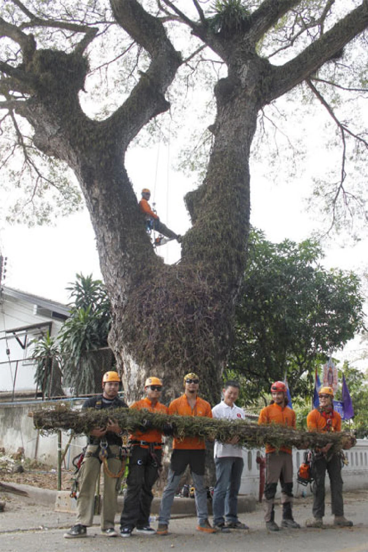 คุณหมอต้นไม้ งานอนุรักษ์บนที่สูง