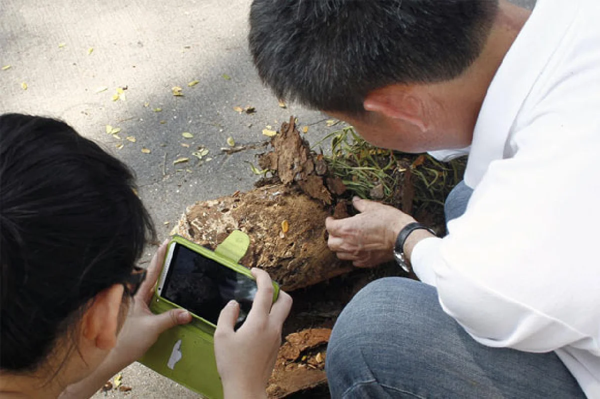 คุณหมอต้นไม้ งานอนุรักษ์บนที่สูง