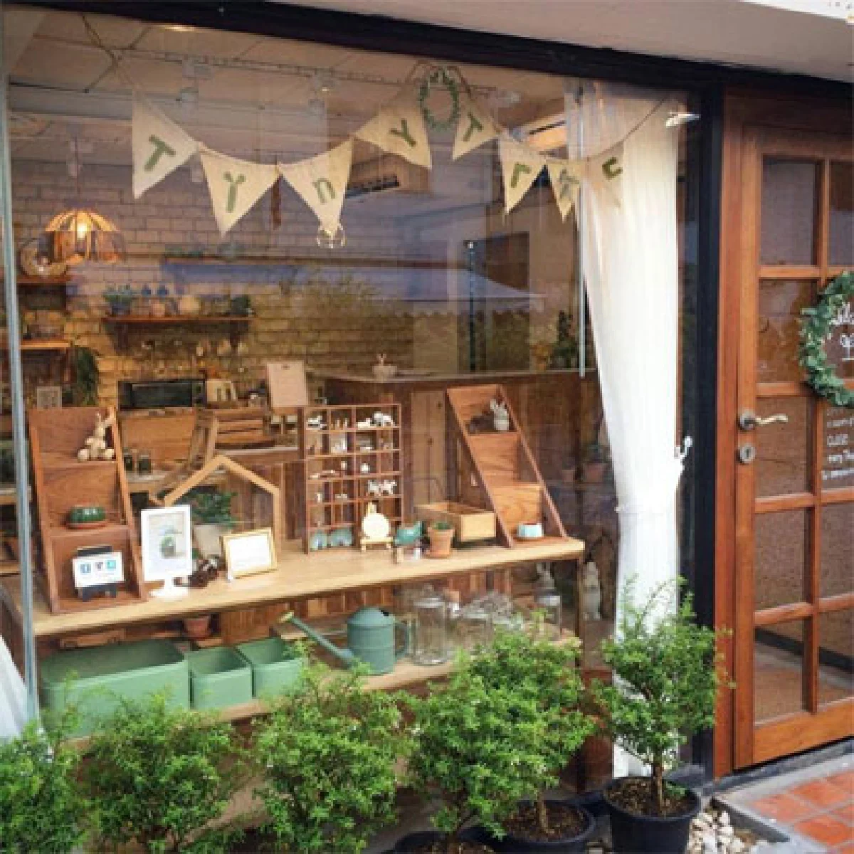 สวนขวดแก้ว โลกจิ๋วแห่งจินตนาการ