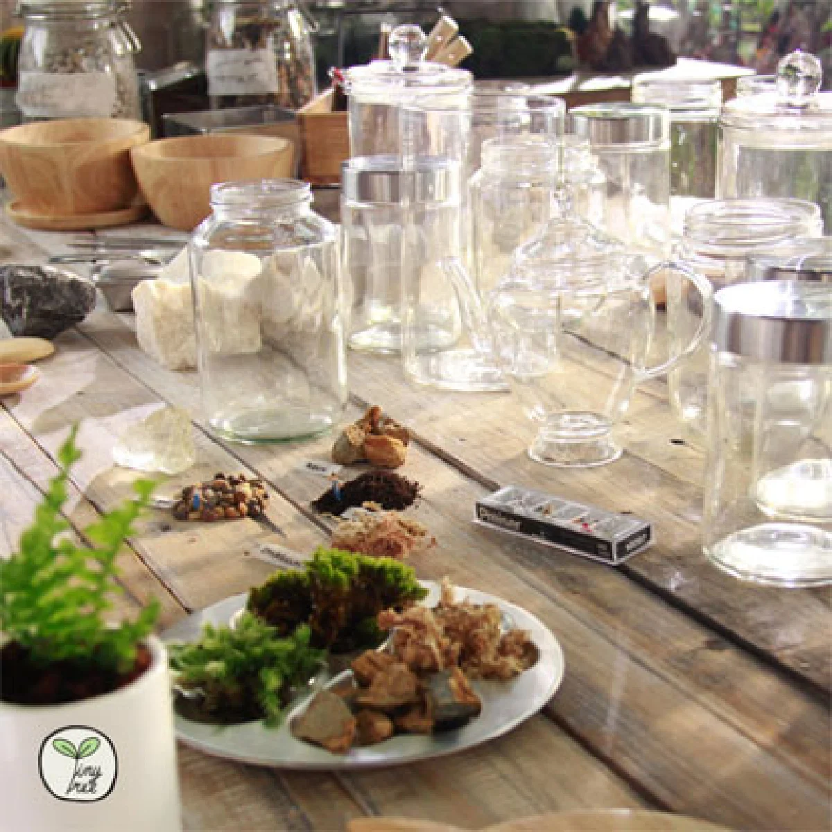 สวนขวดแก้ว โลกจิ๋วแห่งจินตนาการ