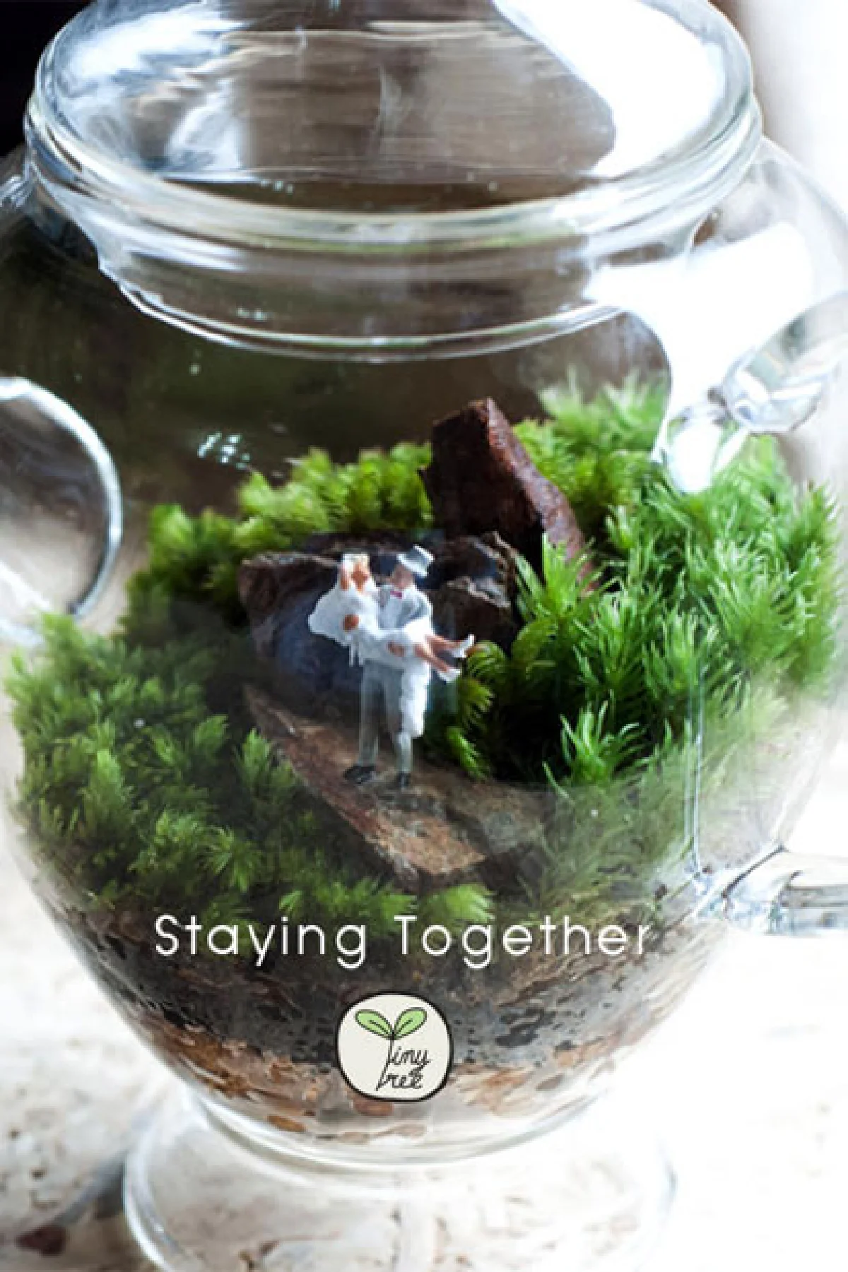 สวนขวดแก้ว โลกจิ๋วแห่งจินตนาการ