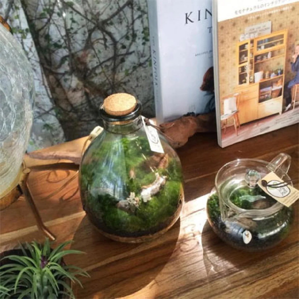 สวนขวดแก้ว โลกจิ๋วแห่งจินตนาการ