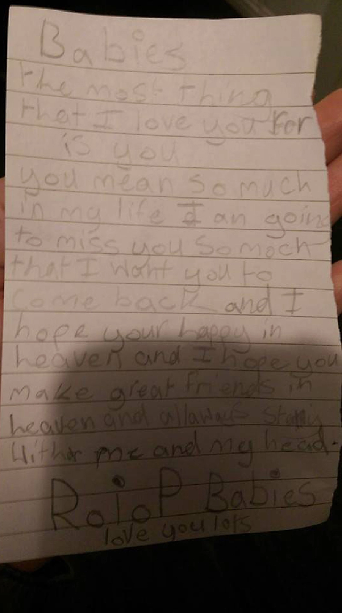 หนูน้อยใจสลาย!แมวถูกฉีดยาตาย เข้าใจผิดคิดว่าแมวจร