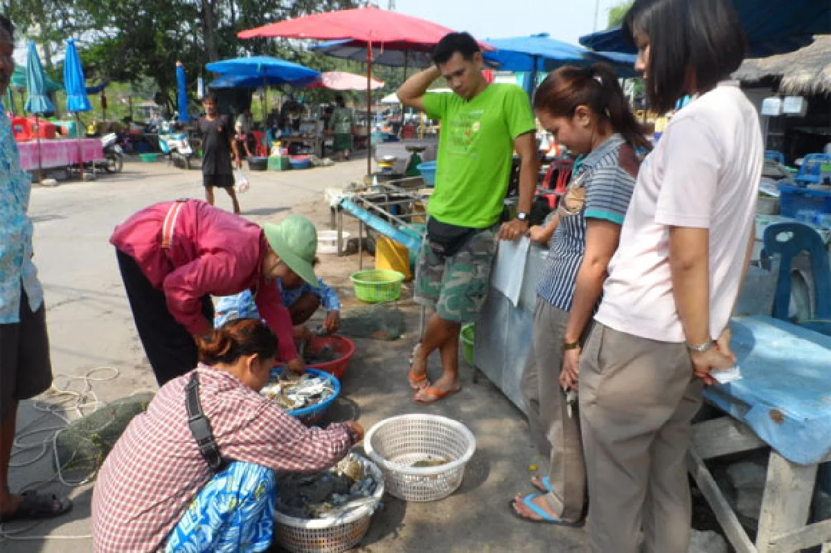 เทศกาลชิมปูชัก @ชะอำ ปูม้าสดๆ เป็นๆ ดิ้นๆ จากทะเล