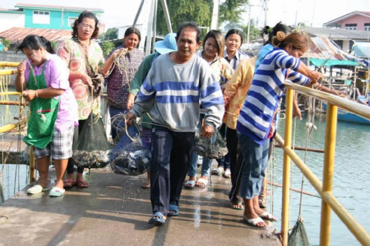 เทศกาลชิมปูชัก @ชะอำ ปูม้าสดๆ เป็นๆ ดิ้นๆ จากทะเล