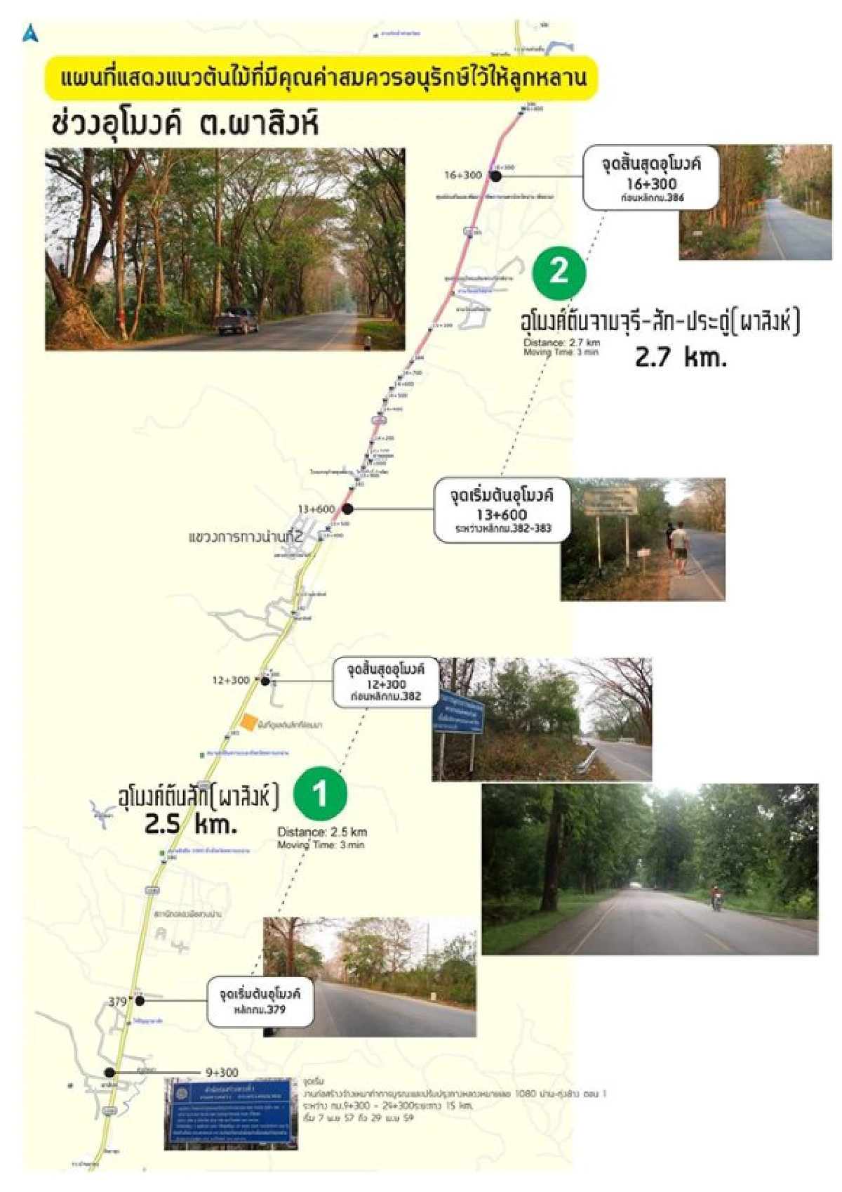 คนน่าน-กรมทางหลวง สำรวจอุโมงค์ต้นไม้หาทางออกร่วมกัน