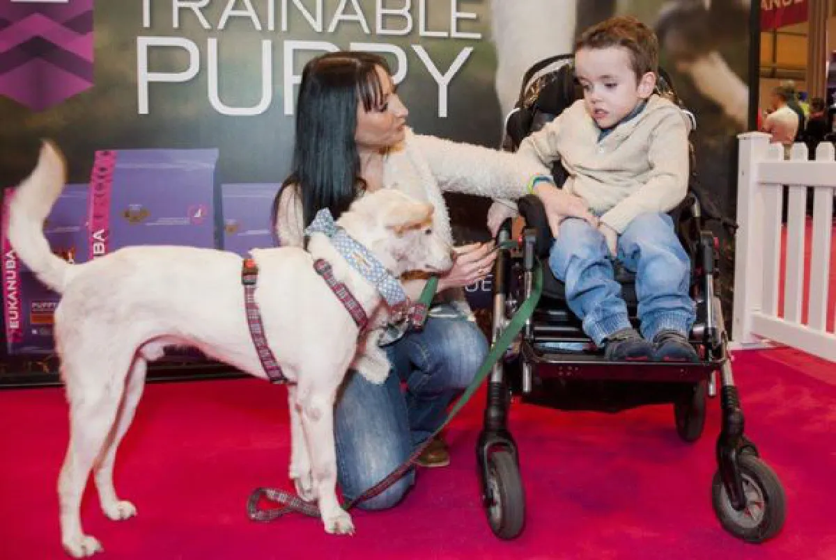 Thai dog wins Friends for Life award