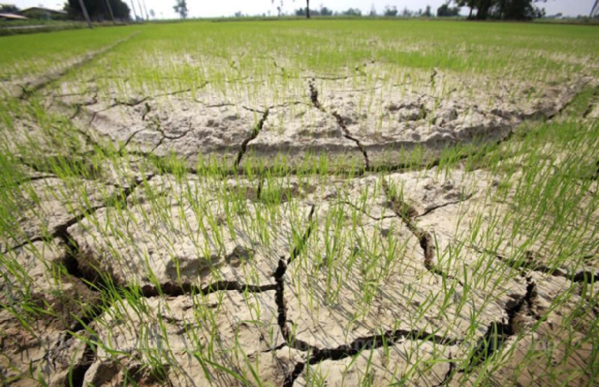 Drought and haze: hot season woes return