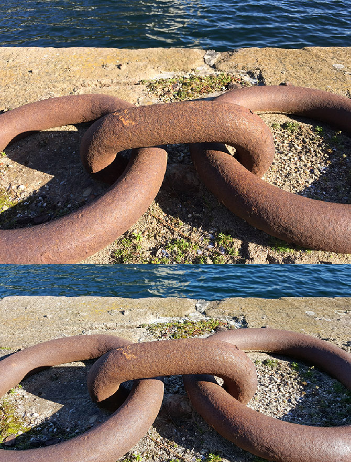 เทียบกันชัดๆ!ภาพถ่ายจาก'ไอโฟน6'และ'กาแล็คซี เอส6' (ชมภาพ)