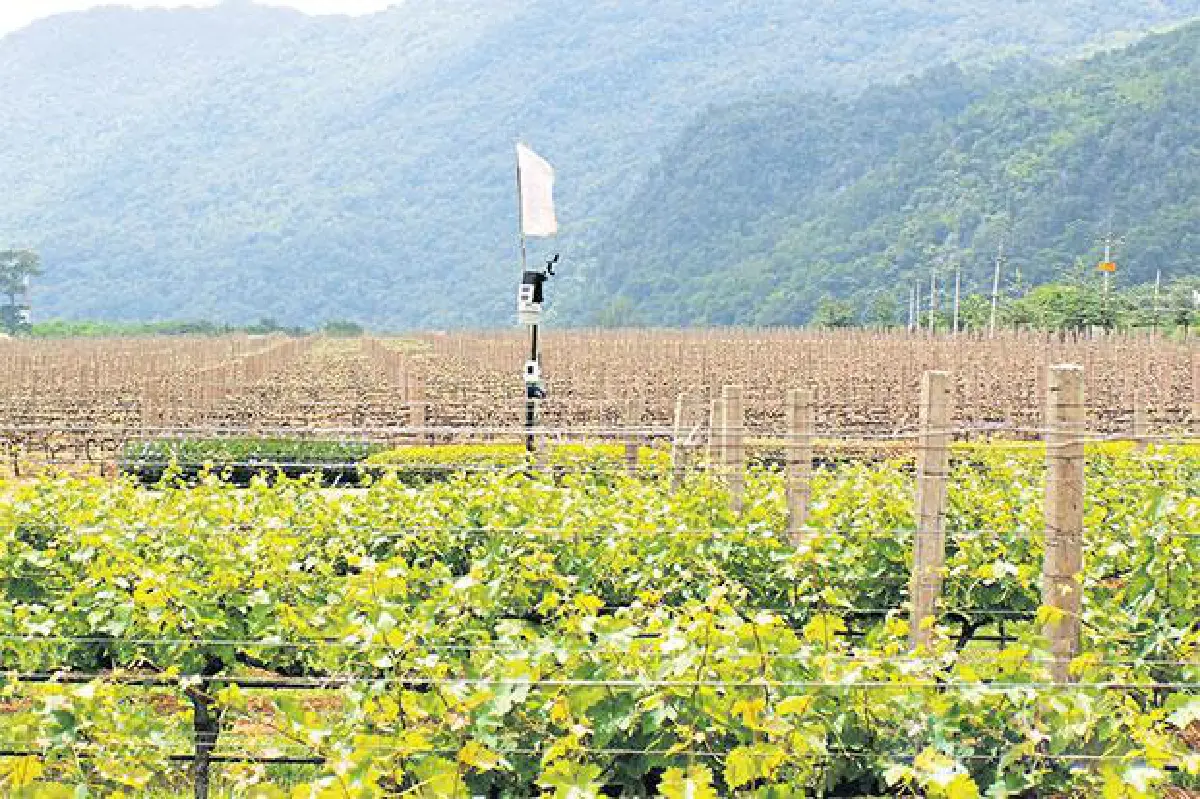 Farming with robots & drones