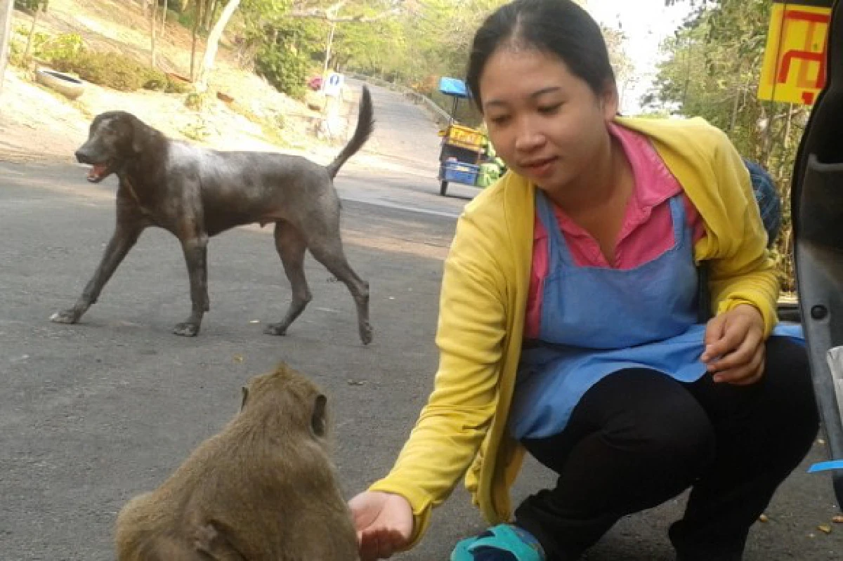 "ฟองชล"เทพธิดาวานรแห่งเขาสามมุข