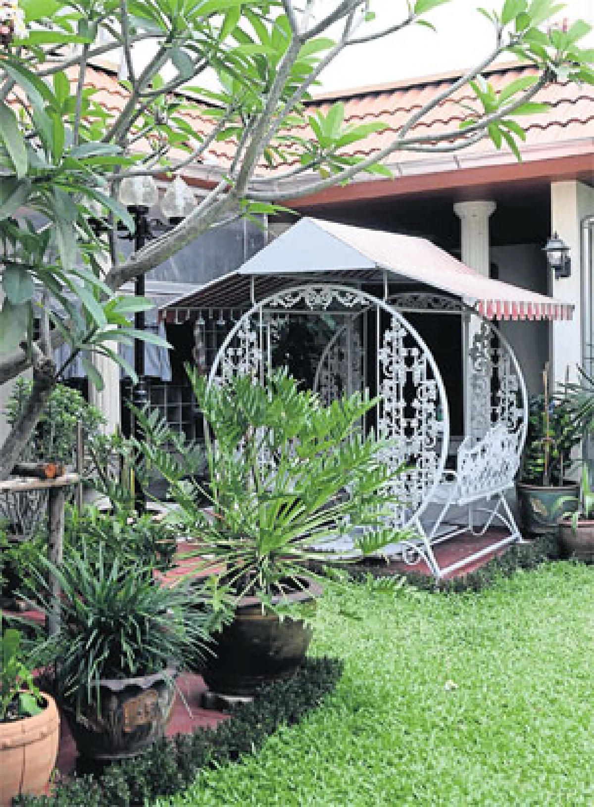 จัดสวนหน้าร้อนกันดีกว่า