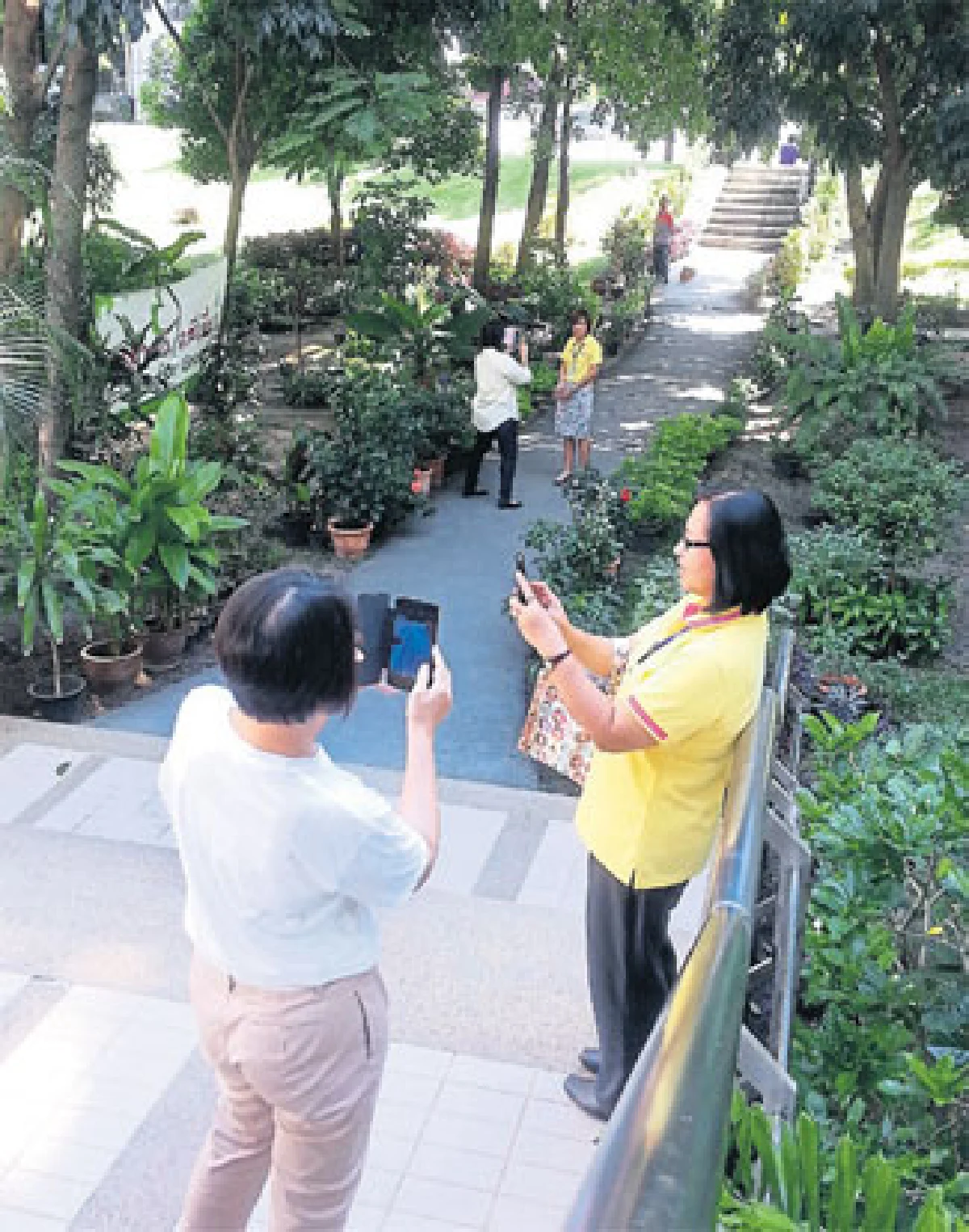 เรียนถ่ายภาพด้วยมือถือกับช่างภาพมืออาชีพ