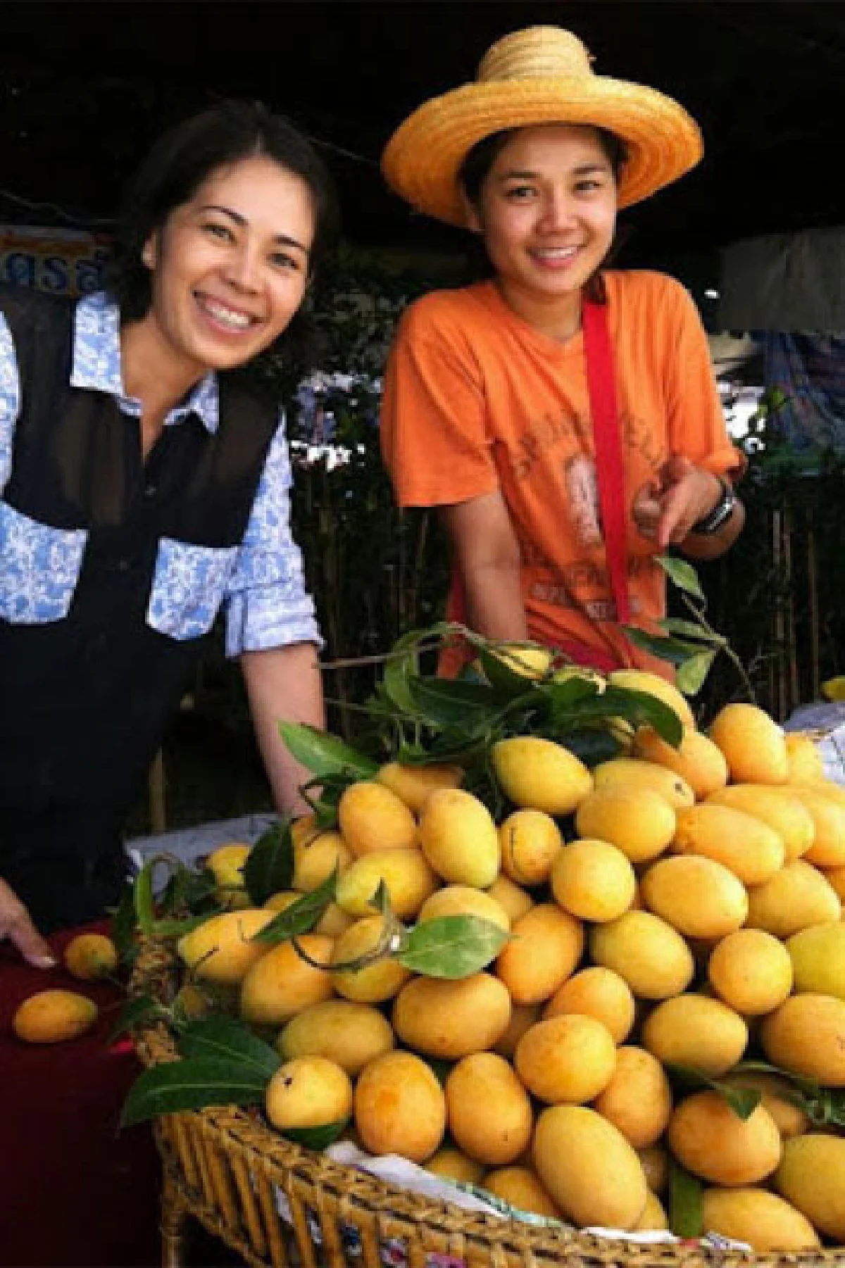มะยงชิด ‘พันธุ์ทองใหญ่หัวเขียว’ ผลโตรสหวาน