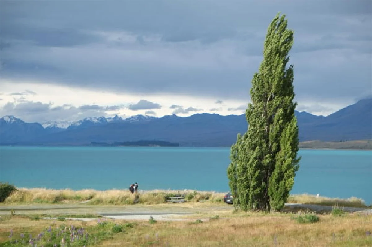 จังหวะอิ่มตัว แต่เธอยังบรรเลง พลอย มัลลิกะมาส