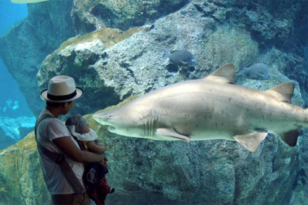 จังหวะอิ่มตัว แต่เธอยังบรรเลง พลอย มัลลิกะมาส