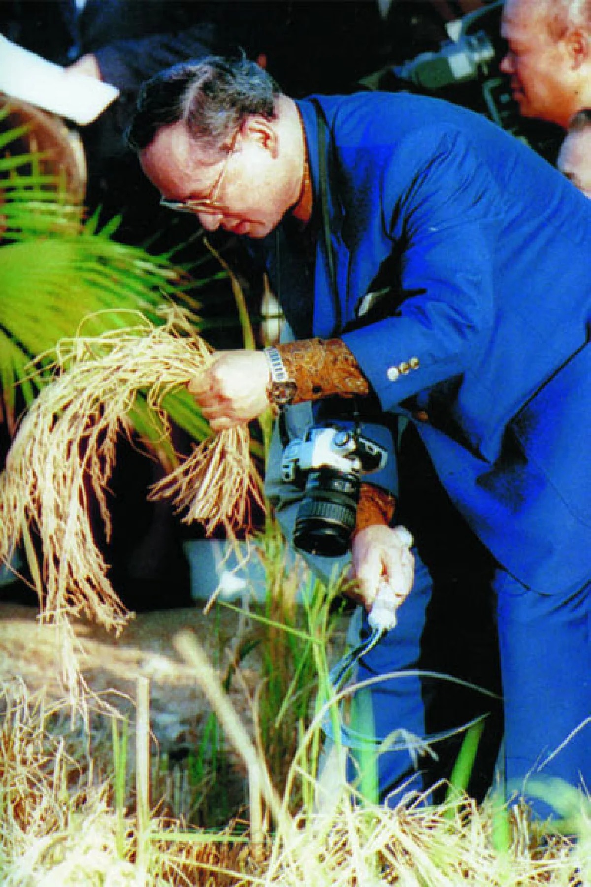 ธนาคารข้าว ของพ่อหลวง