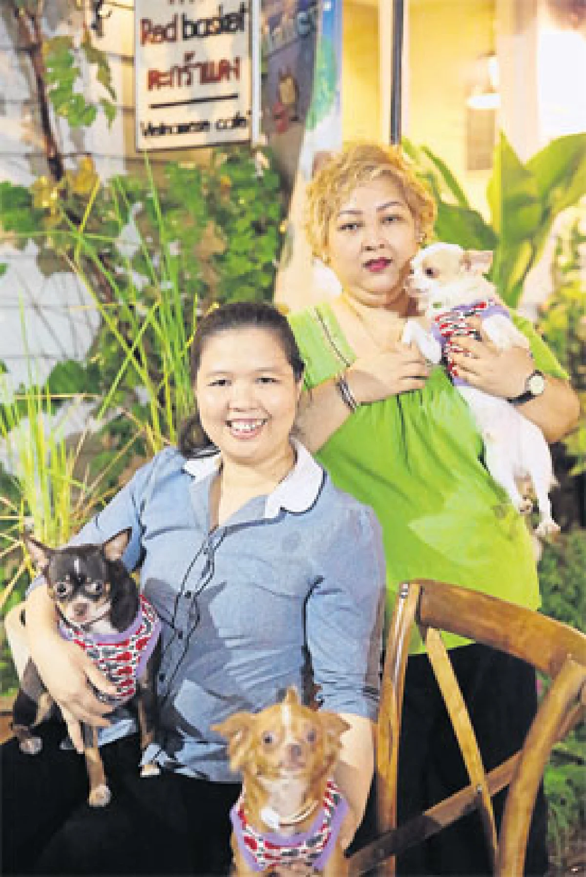 จูงหมาเที่ยวยุโรป โฉบไปเวียดนาม ตะกร้าแดง @ นวมินทร์ เฟสติวัล วอล์ค