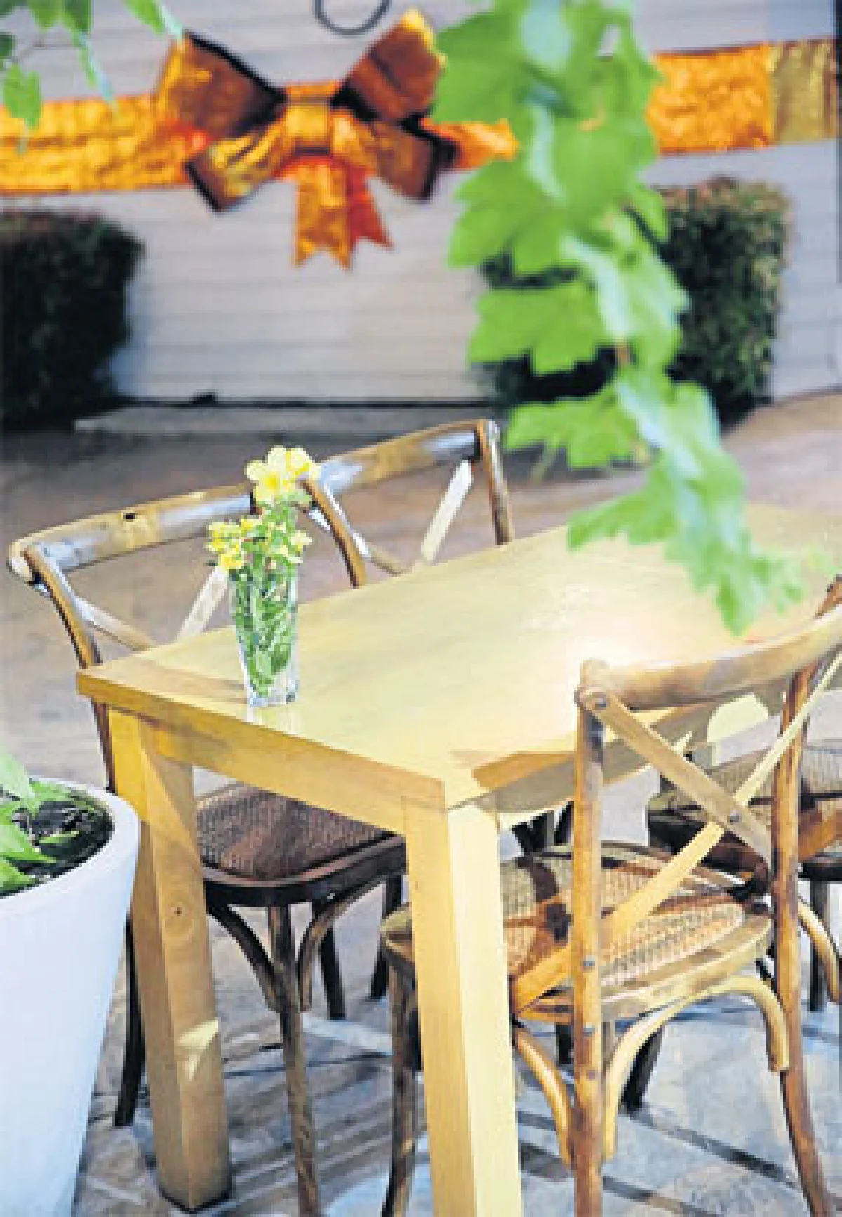 จูงหมาเที่ยวยุโรป โฉบไปเวียดนาม ตะกร้าแดง @ นวมินทร์ เฟสติวัล วอล์ค