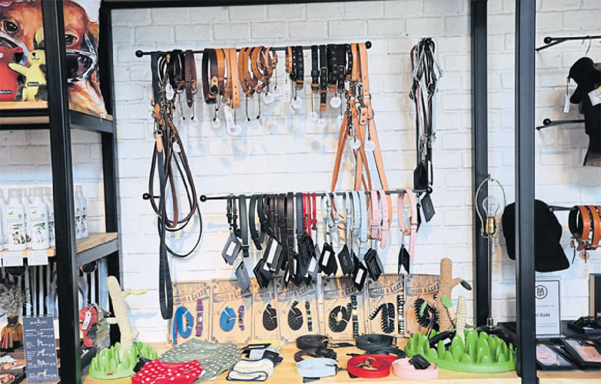 เดอะ บาร์คยาร์ด พื้นที่ความสุขแห่งใหม่ของเจ้าตูบ