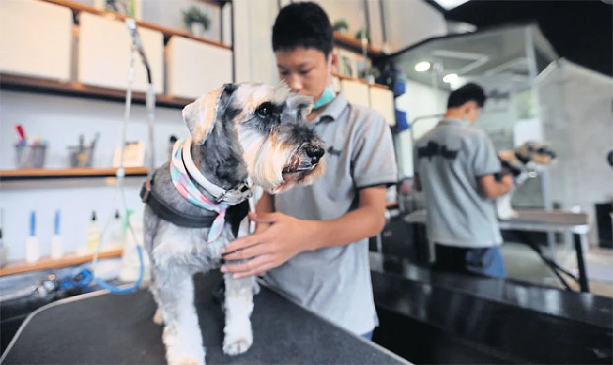 เดอะ บาร์คยาร์ด พื้นที่ความสุขแห่งใหม่ของเจ้าตูบ