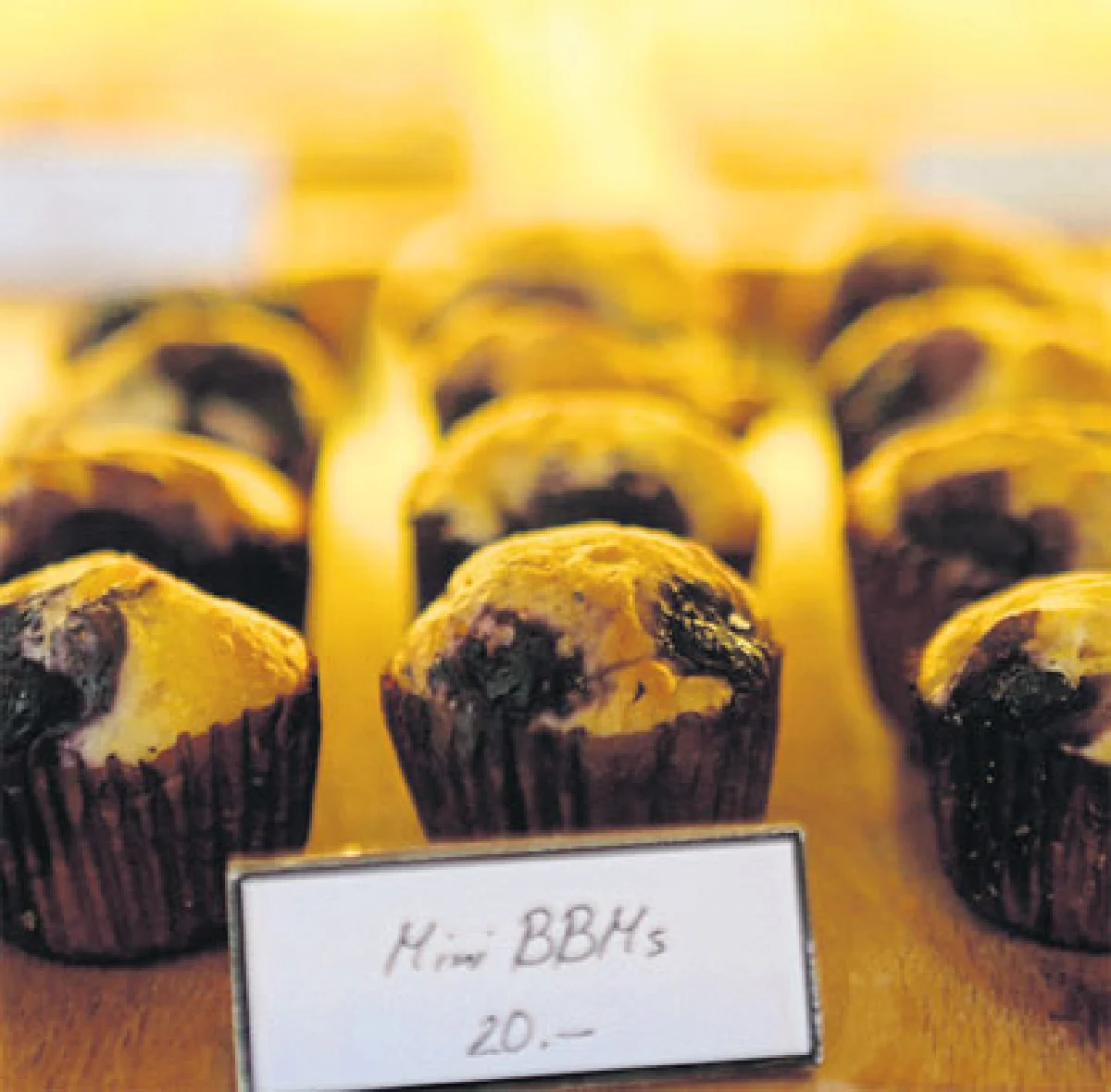 เดอะ บาร์คยาร์ด พื้นที่ความสุขแห่งใหม่ของเจ้าตูบ