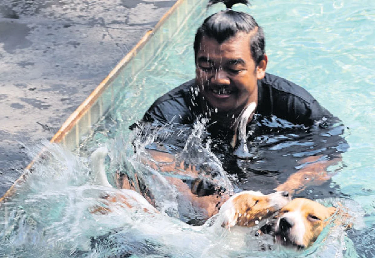 เดอะ บาร์คยาร์ด พื้นที่ความสุขแห่งใหม่ของเจ้าตูบ