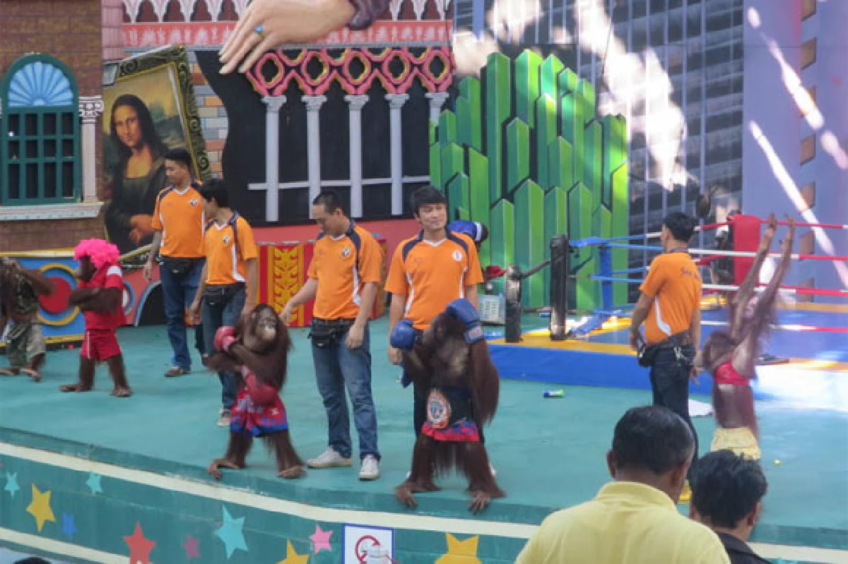 ตื่นตาเริงร่าที่ซาฟารีเวิลด์