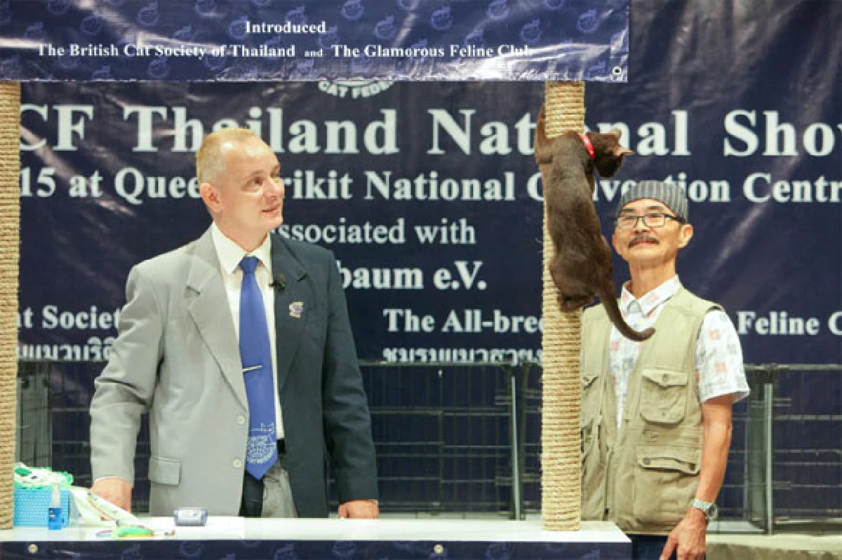 ‘แคท เลิฟเวอร์’ เทรนด์รักแมวกำลังฟีเวอร์!