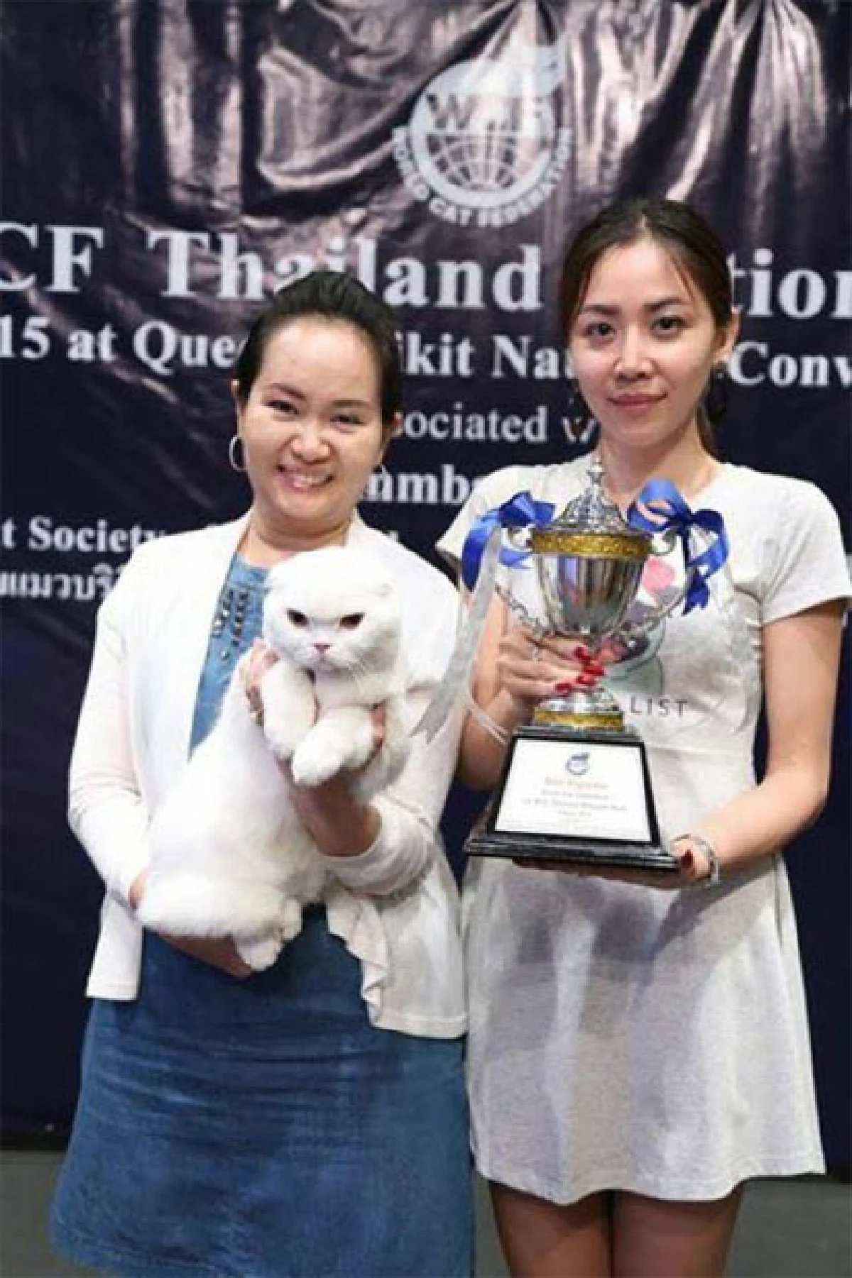 ‘แคท เลิฟเวอร์’ เทรนด์รักแมวกำลังฟีเวอร์!