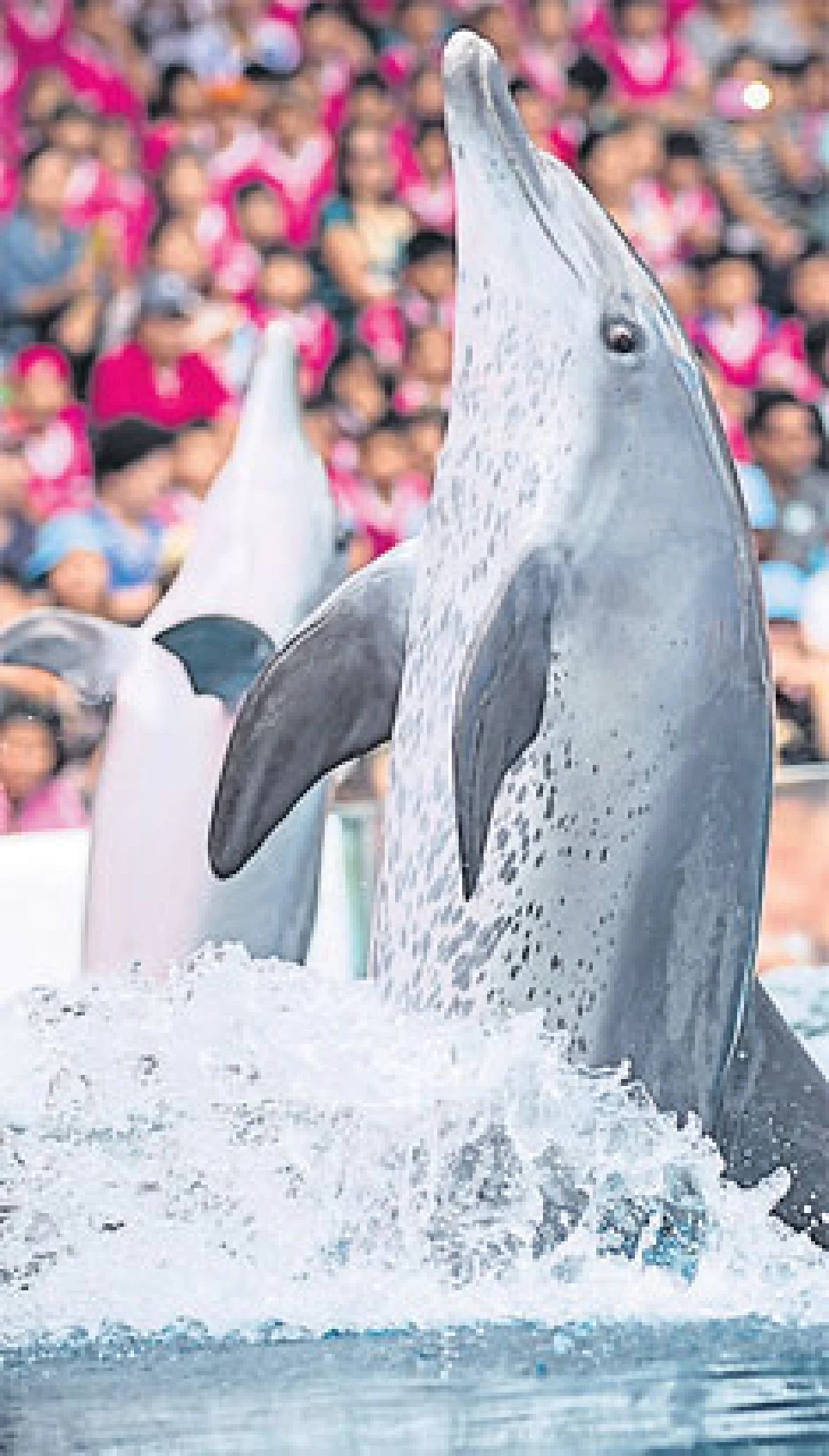 ‘ฤทธิ์ คิ้วคชา’ สานต่อซาฟารีเวิลด์ยั่งยืน