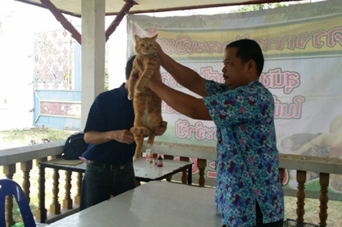 พิษณุโลกเร่งฉีดวัคซีนป้องกันพิษสุนัขบ้า พิษณุโลกเร่งฉีดวัคซีนป้องกันพิษสุนัขบ้า