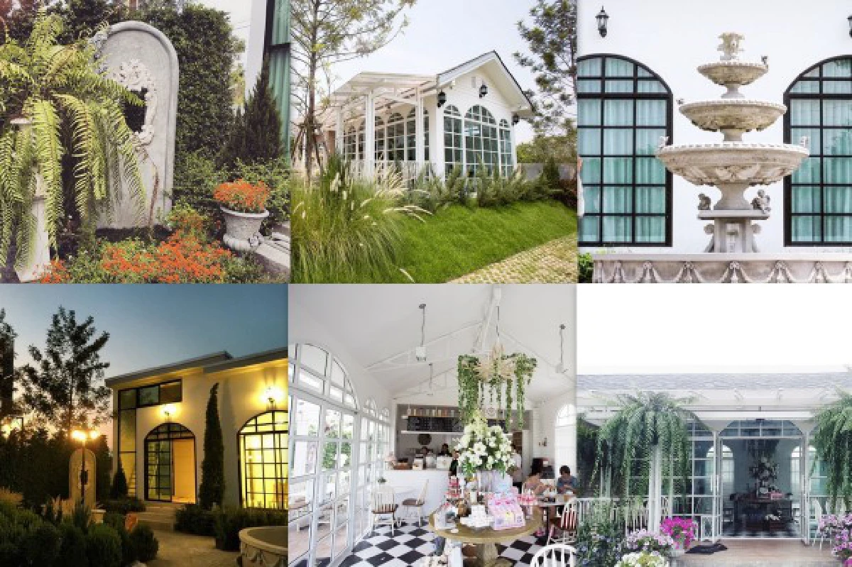 "Misstar Cafe"คาเฟ่สุดชิค..ของนางเอกพันล้าน"ใหม่ ดาวิกา"