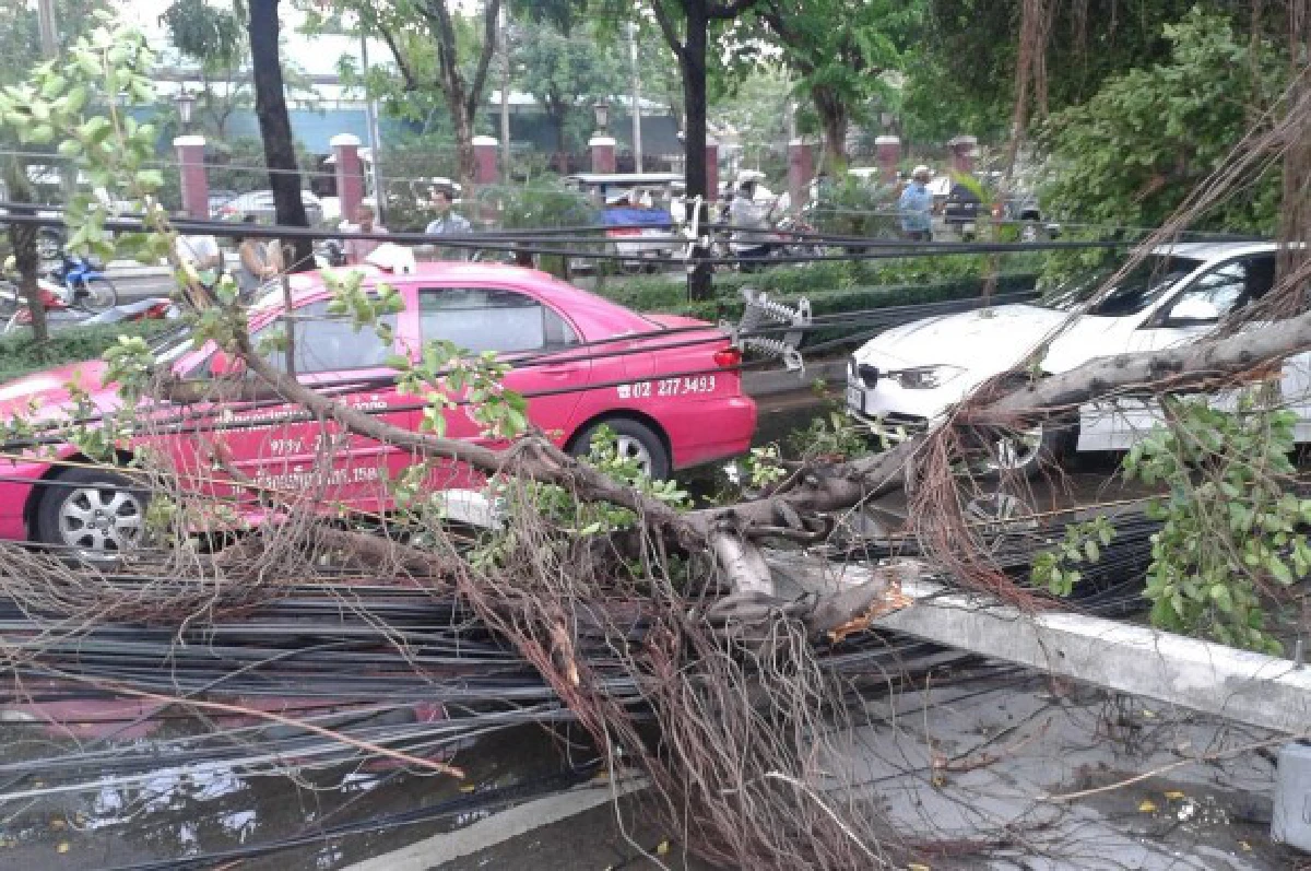 พายุพัดต้นไม้หักพาดรางBTS-เสาไฟฟ้าล้มทับรถพัง