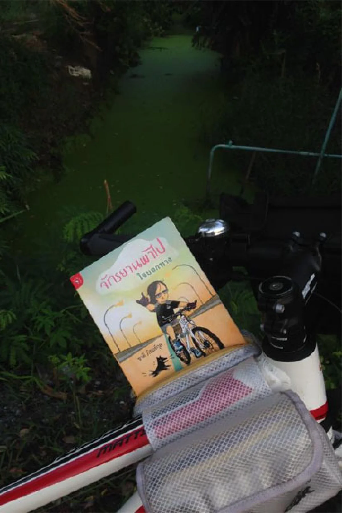 ทำไม ใครๆ ก็ปั่นจักรยาน