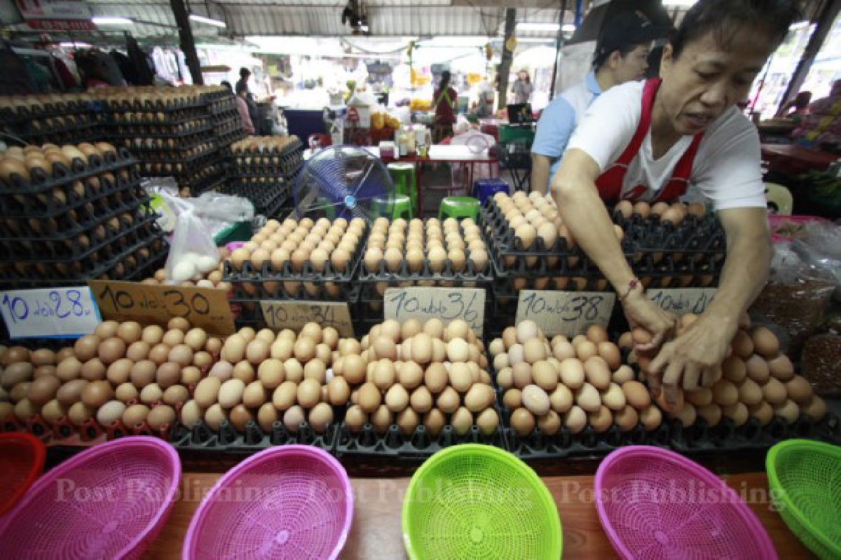 ครม.เห็นชอบแนวทางแก้ไข่ไก่ล้นตลาด-ราคาตกต่ำ ครม.เห็นชอบแนวทางแก้ไข่ไก่ล้นตลาด-ราคาตกต่ำ
