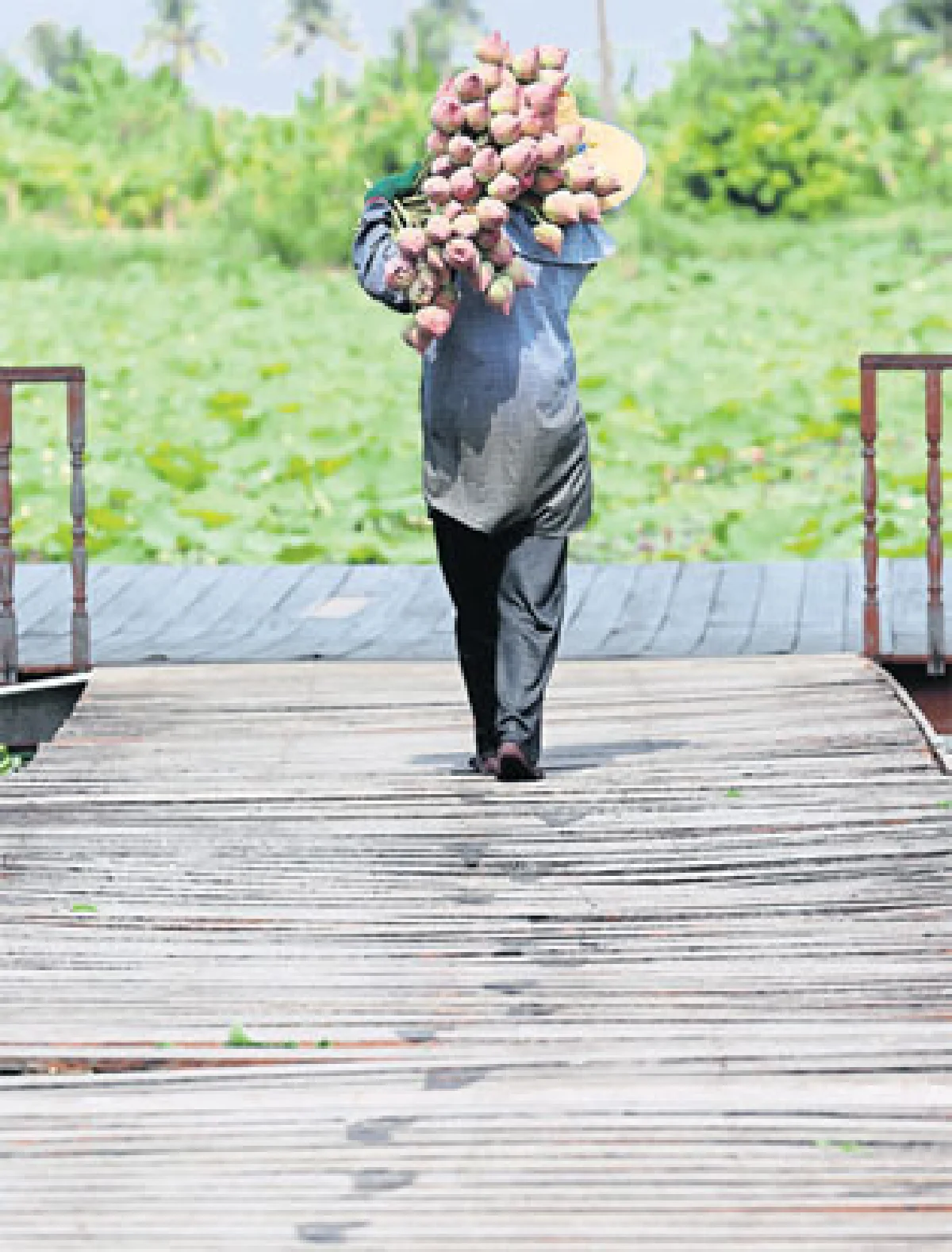 เส้นทางดอกไม้ 2 ฤดู คูนกำลังไป บัวกำลังมา